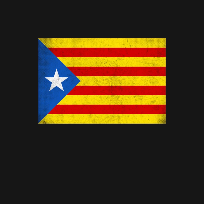Catalonia  Països Catalans Estelada - Vintage Faded Look Design Female Long Sleeve T-Shirt