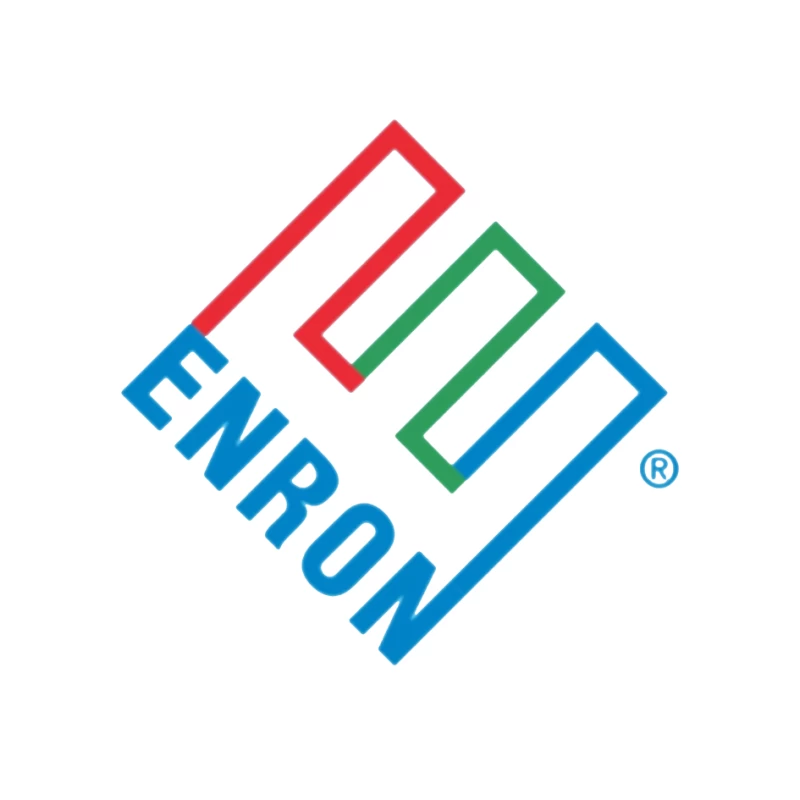 Enron Corporation Logo - Historic Energy Company Symbol Pin