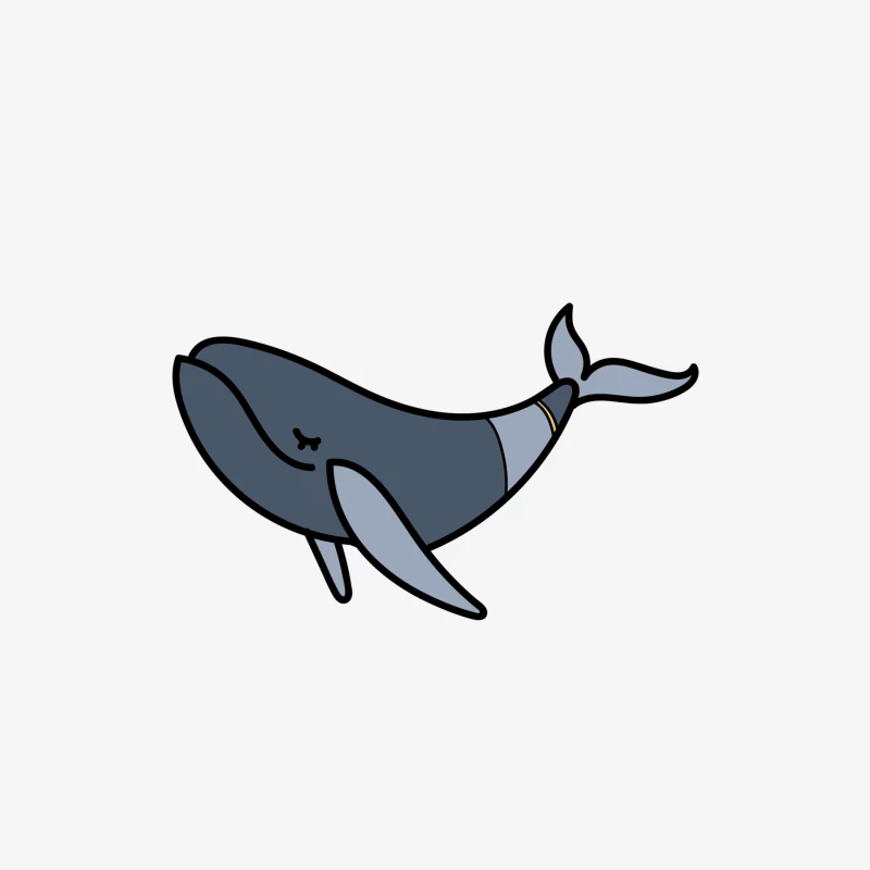 Baleine Heureuse Illustrée Femme Manches Longues T-Shirt