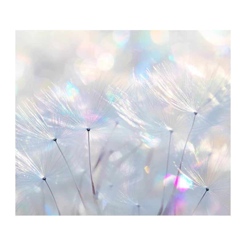 Dreamy Dandelion Macro in Soft Pastel Bokeh Tapestry