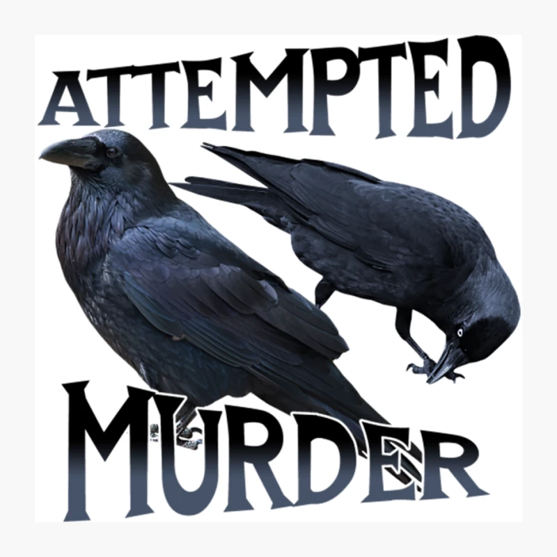 Attempted Murder, of Crows Pin