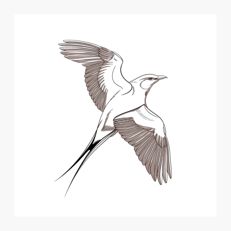 Graceful Flying Seabird Sketch Illustration Pin