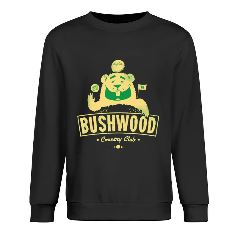  Male Pullover Sweatshirt