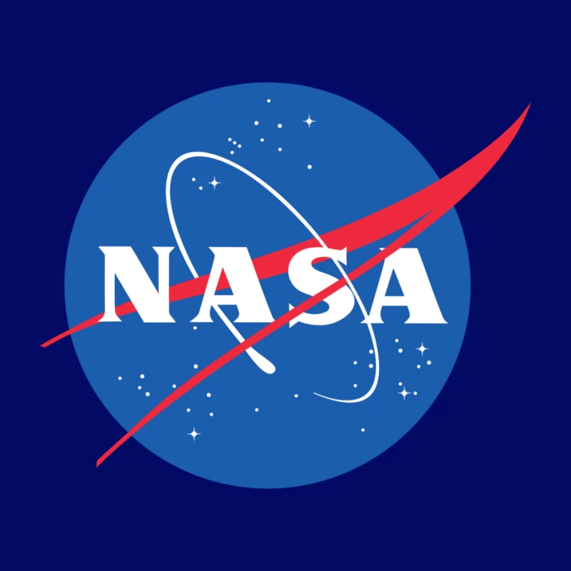 NASA Logo: Celebrating Space Exploration Pin