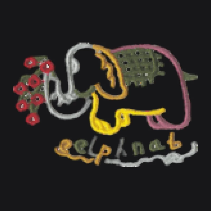 Elefant mit Blumenstickerei Herren Pullover Hoodie