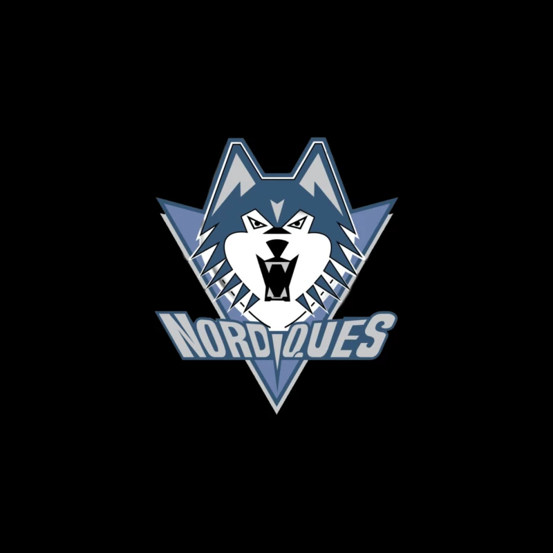Quebec Nordiques Mouse Pad