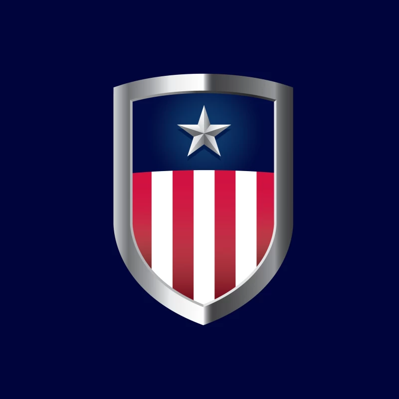 Star and Stripes Shield Throw Pillow
