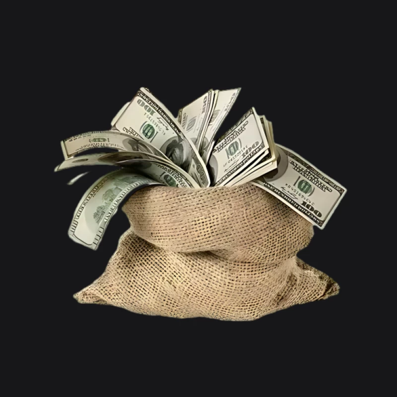Sacco di denaro con dollari Felpa con cappuccio Uomo