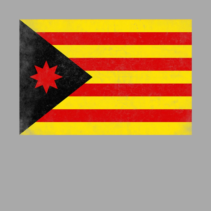 Estelada Anarquista - Vintage Faded Look Design Female Pullover Hoodie