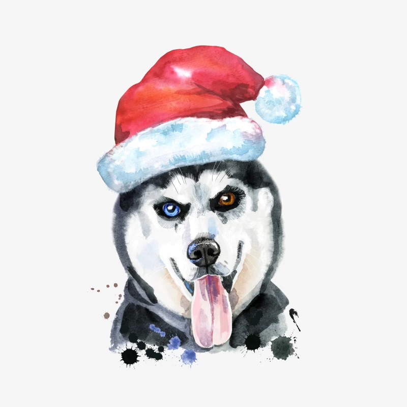 Husky de Noël avec Chapeau Santa Femme Manches Longues T-Shirt