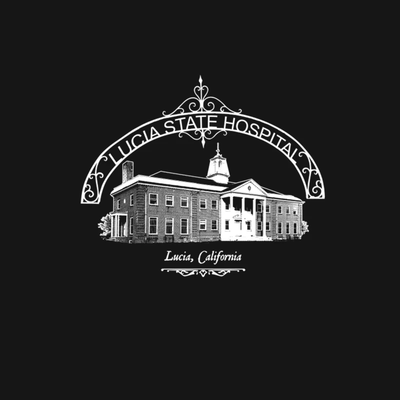 Lucia State Hospital from Ratched Female Long Sleeve T-Shirt