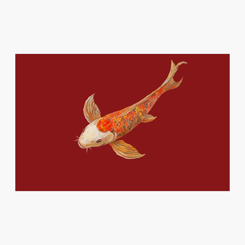 Vibrant Koi Fish Watercolor Illustration: A Colorful Asian Art Piece Travel Mug
