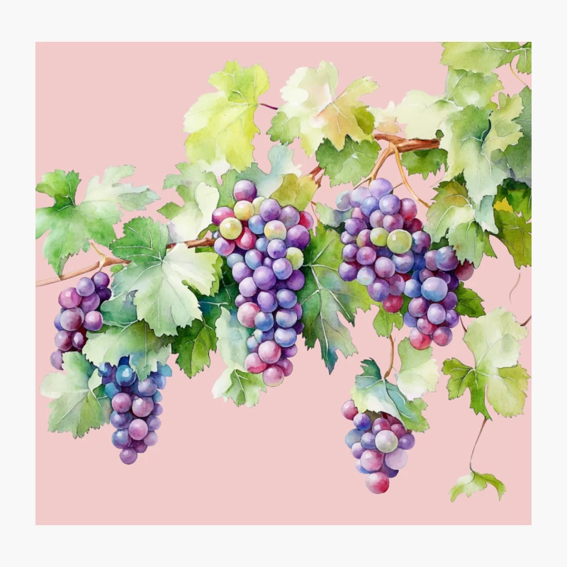 Watercolor Illustration of Purple Grapes and Vine Leaves Throw Pillow
