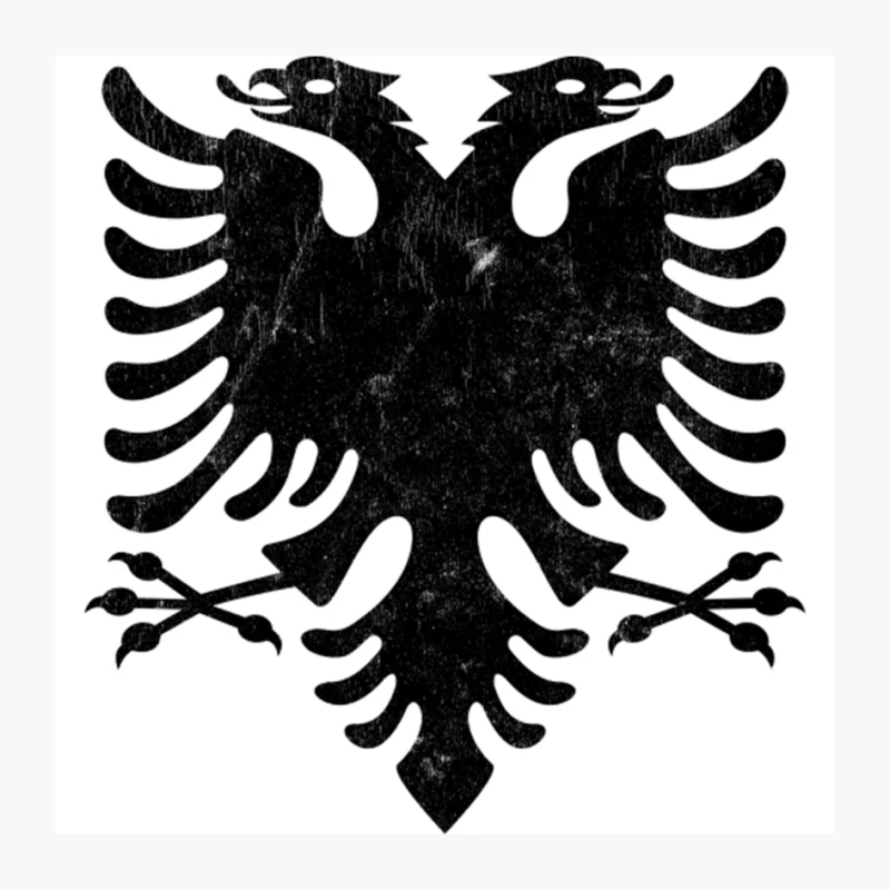 Albania  Faded Vintage Style Eagle Flag Design Pin