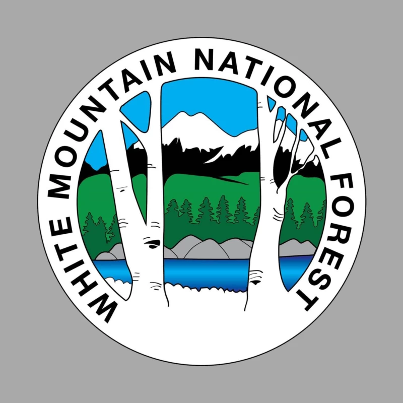 White Mountain National Forest Male Pullover Hoodie
