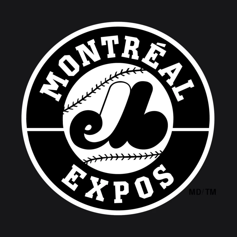 montreal expos 1969 Male Pullover Hoodie