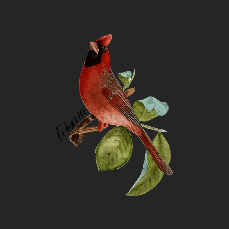Beautiful Vintage L_Oiseau Red Cardinal Bird Illustration Female Pullover Sweatshirt