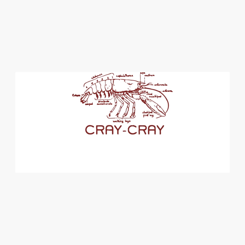 Crayfish Anatomical Diagram: Scientific Sketch of Crustacean Coffee Mug