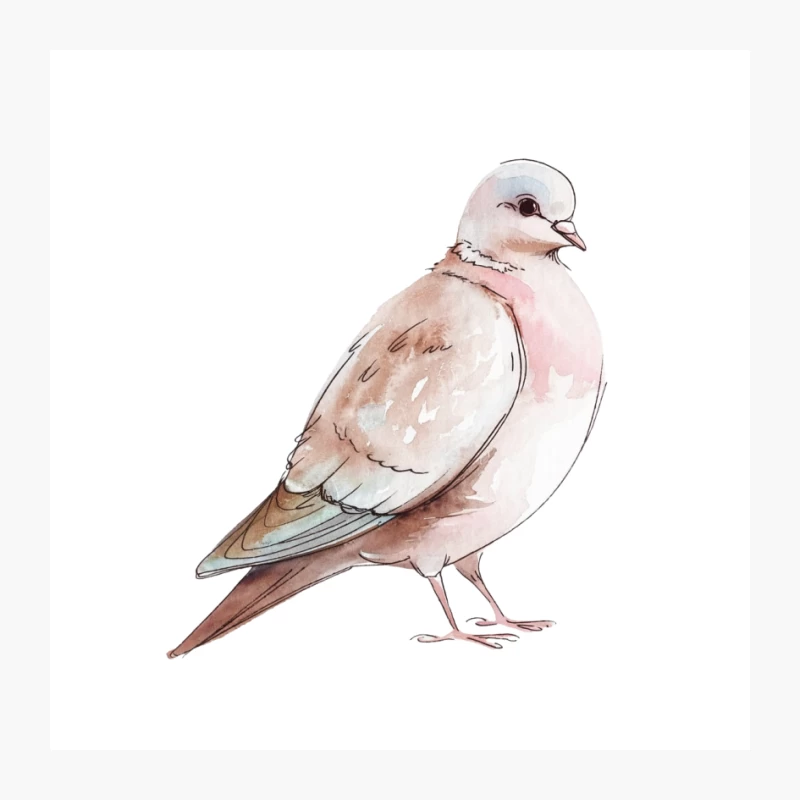 Watercolor Dove: Gentle Wildlife Illustration in Pastel Hues Pin