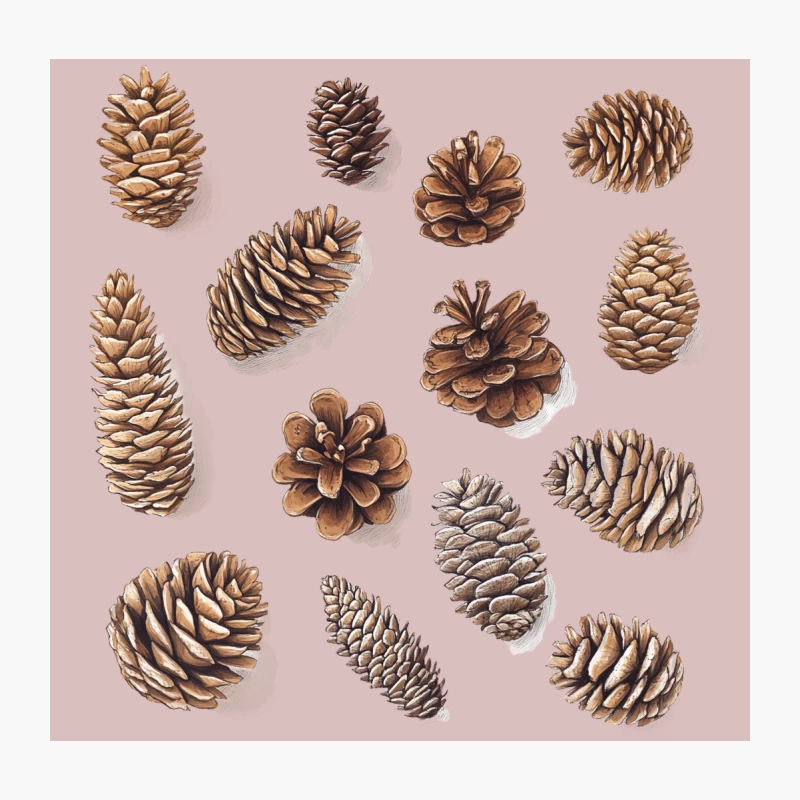 Variety of Brown Pinecones: A Natural Botanical Study Throw Pillow