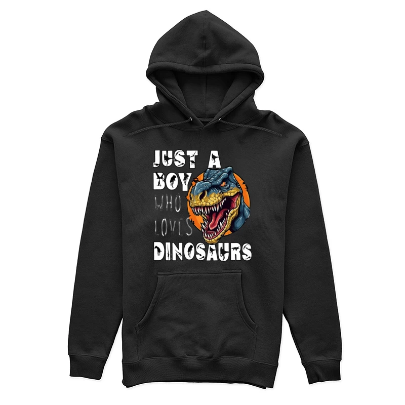 Ein Junge, der Dinosaurier liebt Damen Pullover Hoodie