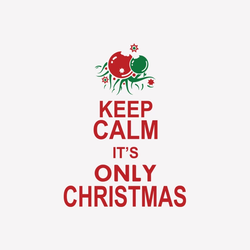 Keep Calm It_s Only Christmas Female T-Shirt