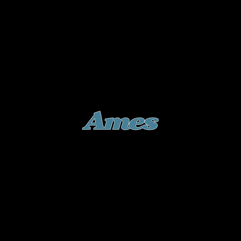 Ames Department Stores iPhone Case