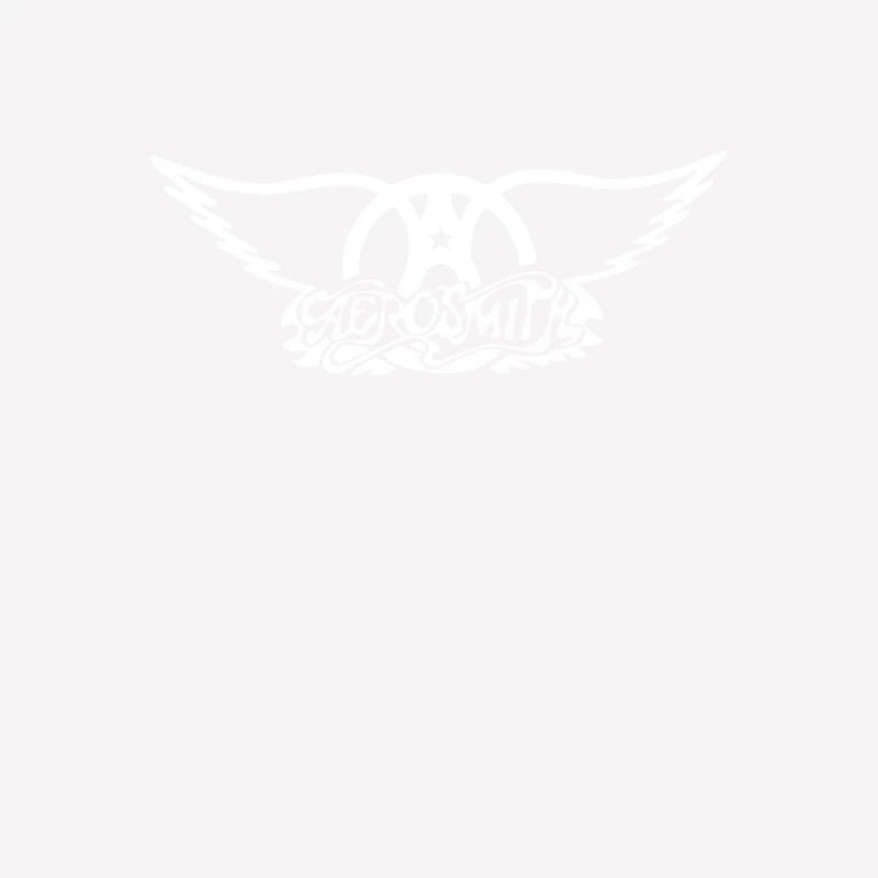 Aerosmith Classic Rock Music Steven Tyler Male T-Shirt
