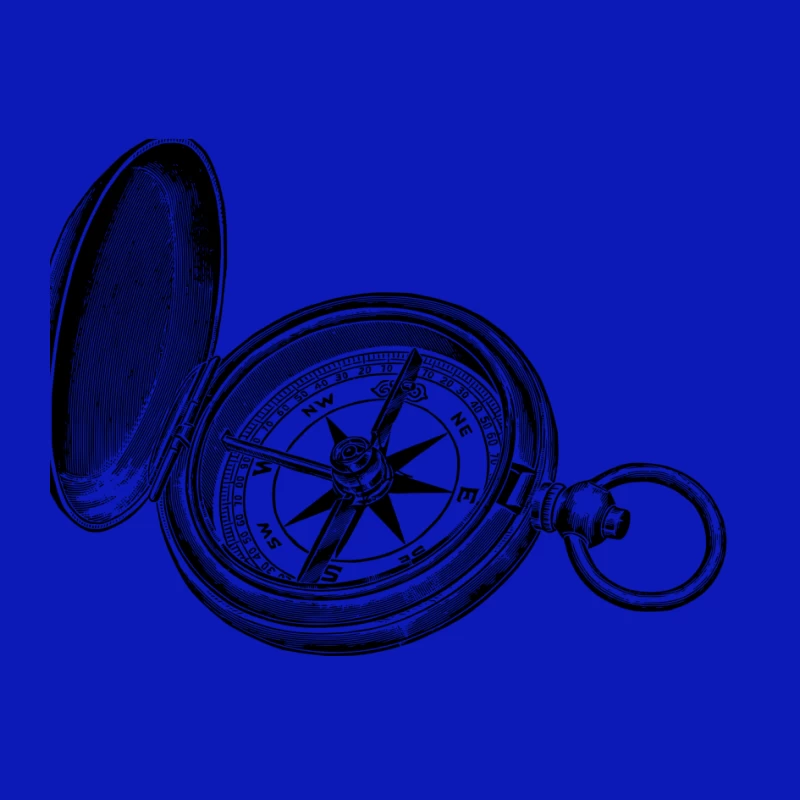 Compass Pin