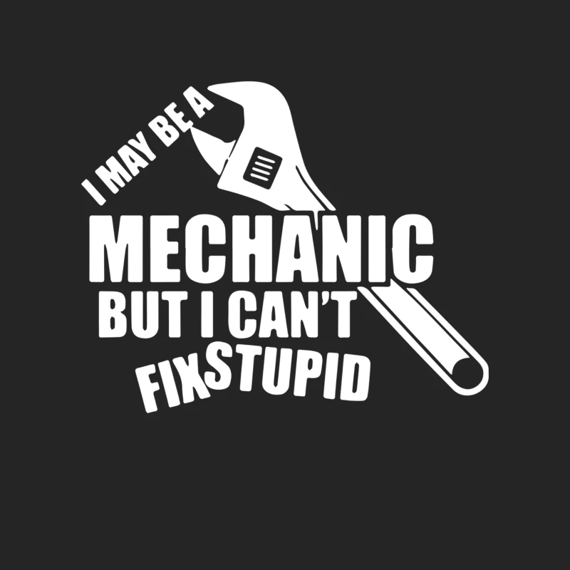 I May Be A Mechanic But I Cant Fix Stupid Female Pullover Sweatshirt