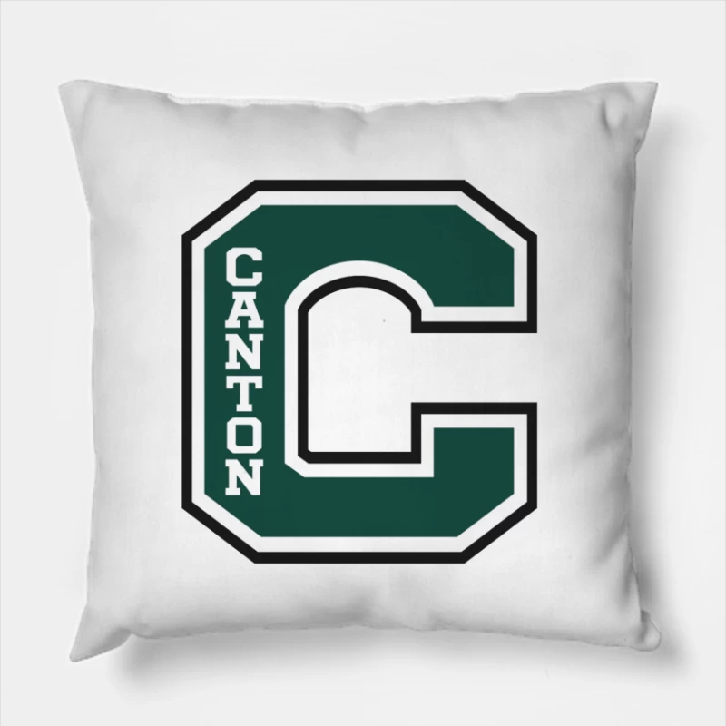  Throw Pillow