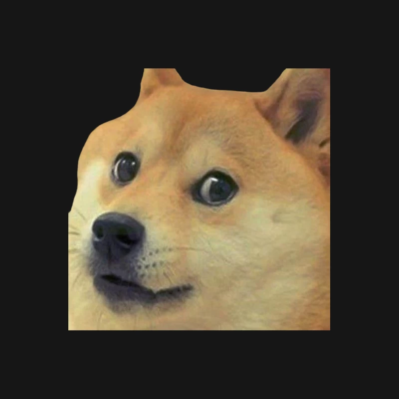 Iconic Doge Meme: Close-up of Shiba Inu Female T-Shirt