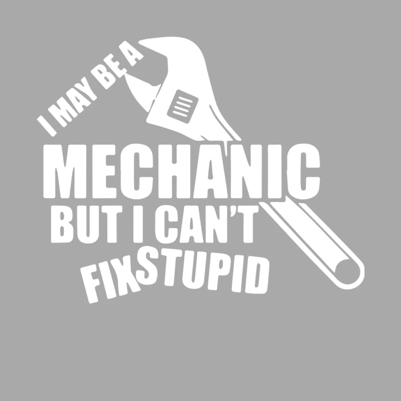 I May Be A Mechanic But I Cant Fix Stupid Female Pullover Hoodie