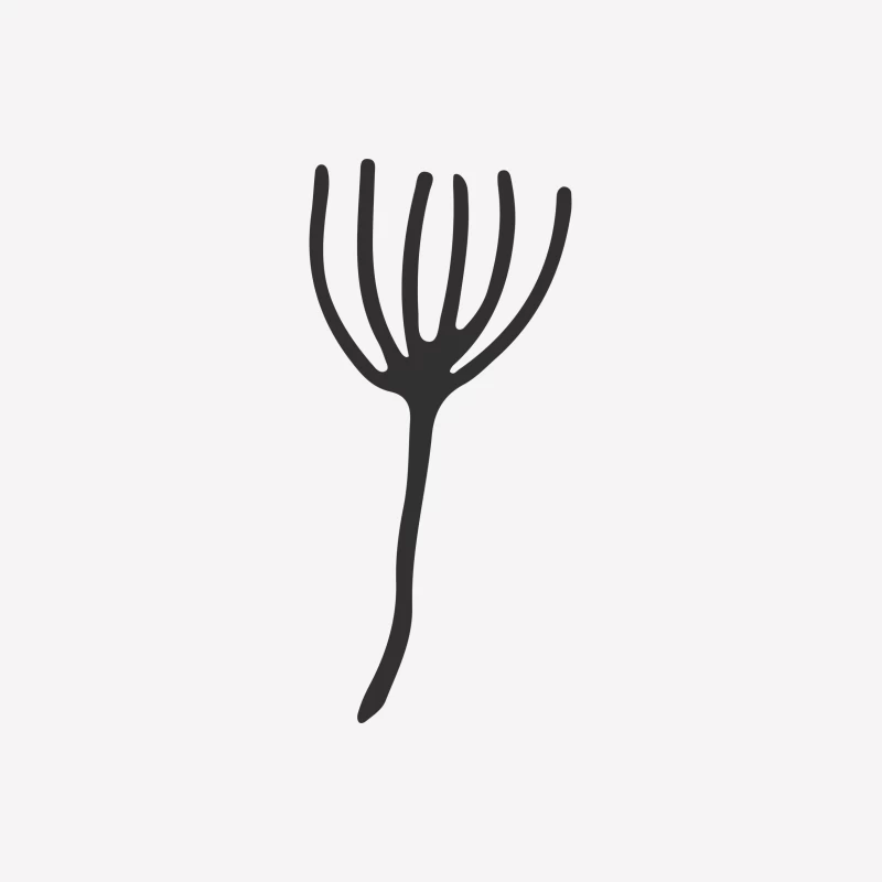 Branche abstraite avec lignes Femme T-Shirt
