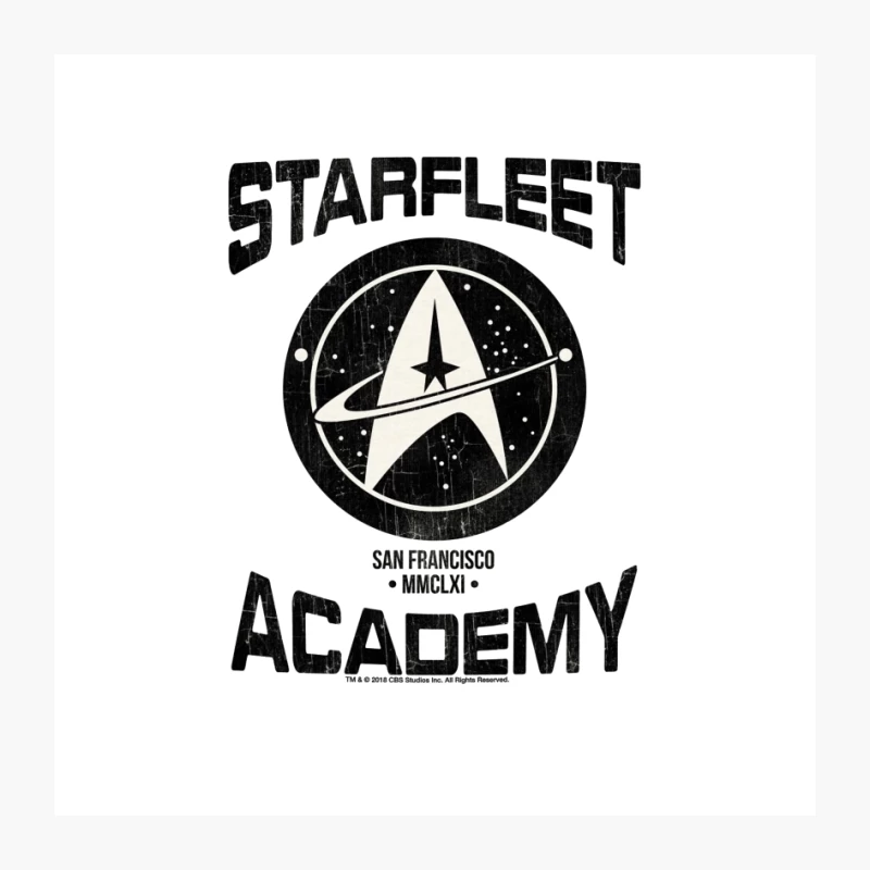Vintage Starfleet Academy Emblem from Star Trek Universe Pin