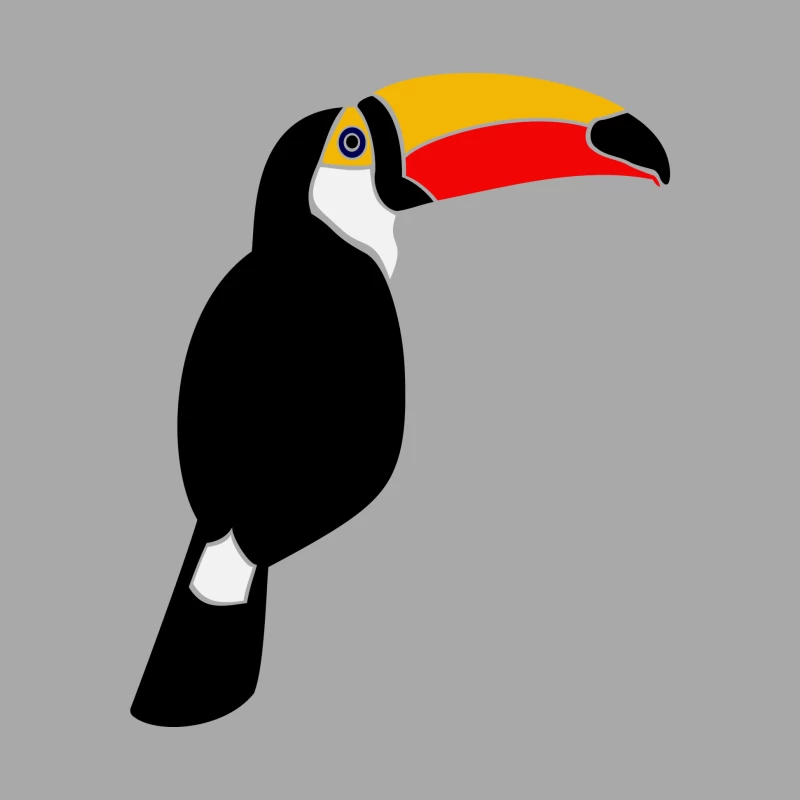 Illustration d'un toucan coloré Homme Sweat à capuche
