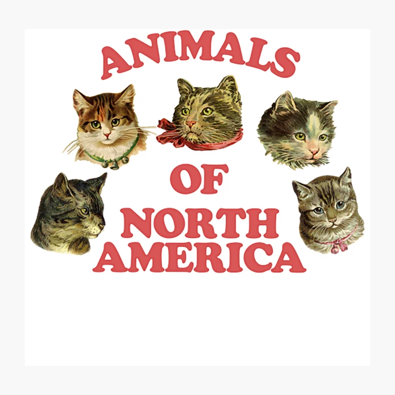 Cute Kitties  80s Style Thrift Design Throw Pillow