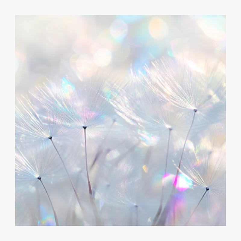 Dreamy Dandelion Macro in Soft Pastel Bokeh Pin