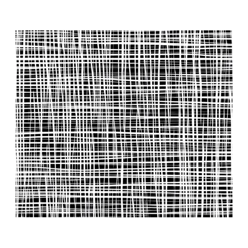 Abstract Black and White Grid Pattern Texture Tapestry