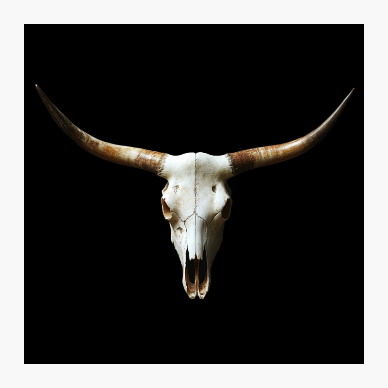 Longhorn Skull: Western Taxidermy Decoration Pin