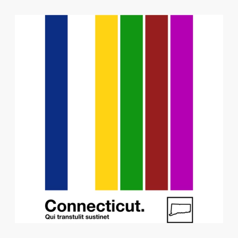 Connecticut   Original Minimalist Artwork Poster Design Pin