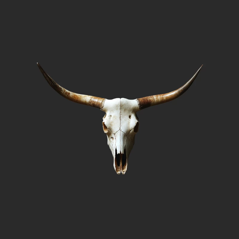 Longhorn Skull: Western Taxidermy Decoration Baseball Cap