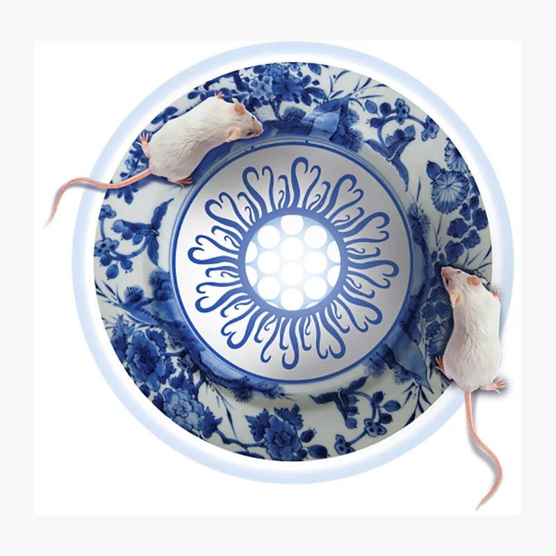 The Question Throw Pillow