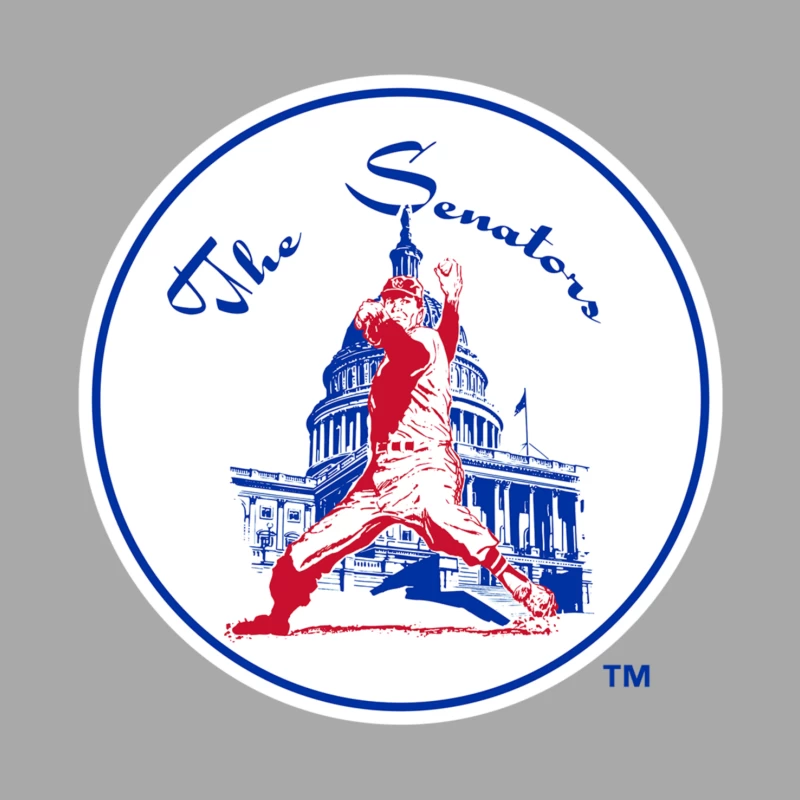 Washington Senators Baseball Club Male Pullover Hoodie