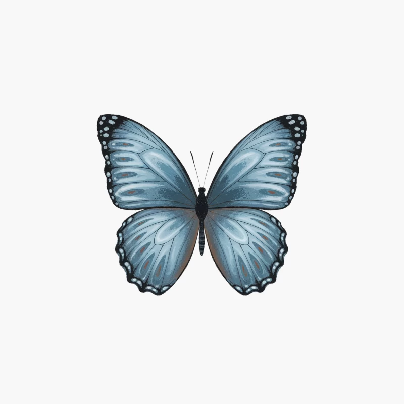 Beautiful Blue Butterfly with Delicate Wings Cotton Tote Bag