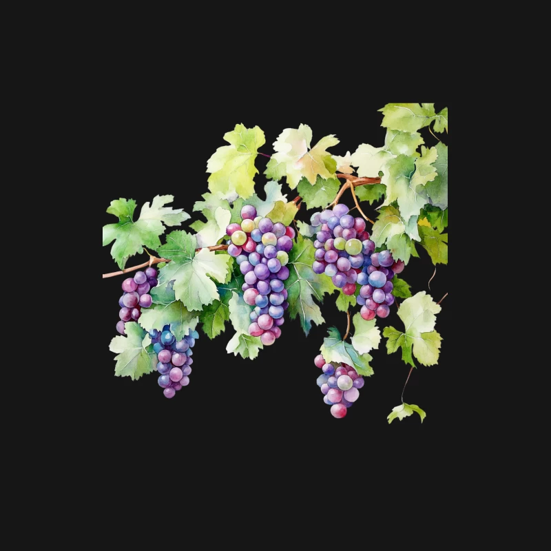 Watercolor Illustration of Purple Grapes and Vine Leaves Male Long Sleeve T-Shirt
