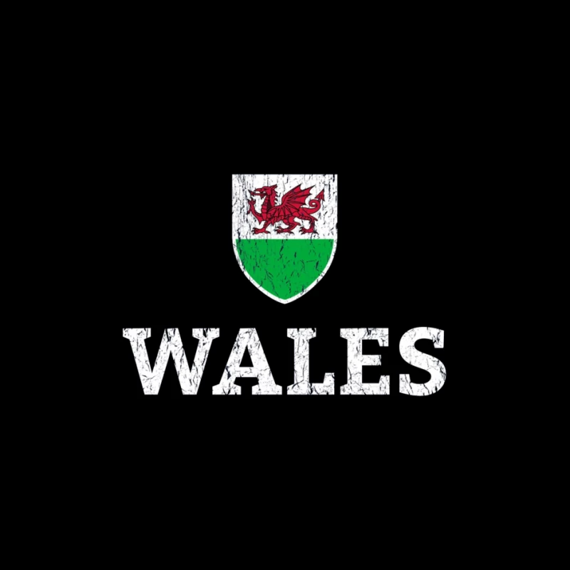 Welsh Dragon Shield with Distressed Text Design Pin