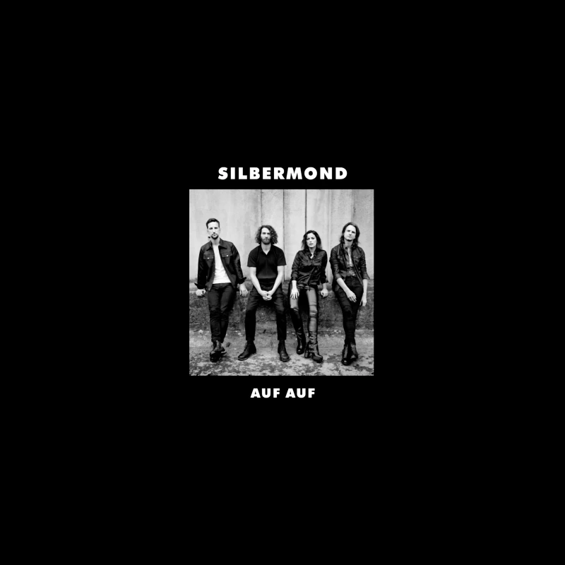 German Rock Band Silbermond - Black and White Promotional Photo Desk Mat