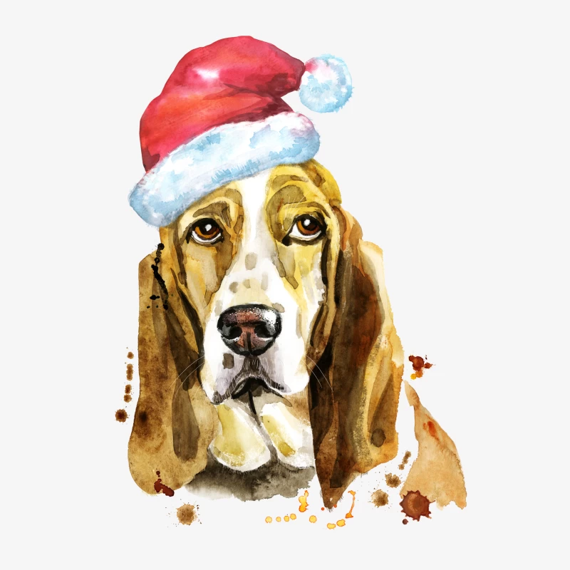 Basset Hound avec Chapeau de Noël Femme Sweat-shirt à enfiler