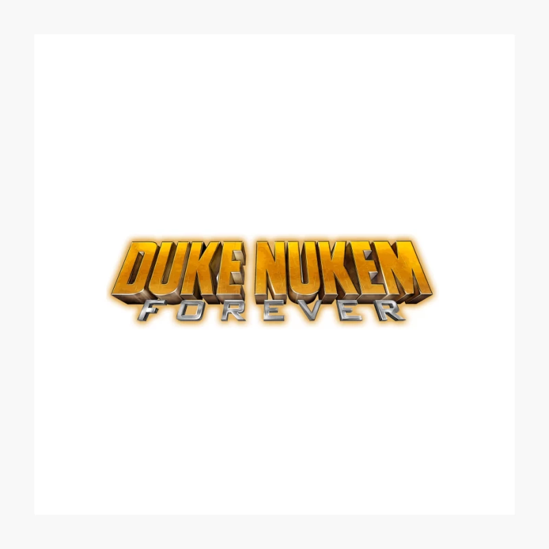 DUKE NUKEM FOREVER Pin